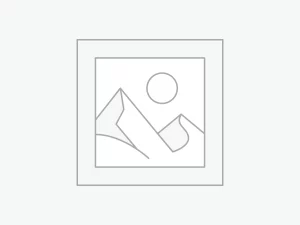 Δείκτης τοποθέτησης